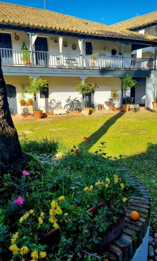 Apartamento En Monumento Historico Nacional Corral Del Conde-Duque De Olivares Sevilla Eksteriør bilde